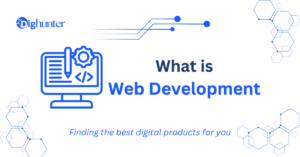 what is web development
